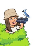 anchovy1219の旅行プロフィール