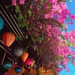 Tomomi Adamsの旅行プロフィール