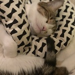 ruskamoiの旅行プロフィール