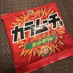 ちょこぱいの旅行プロフィール