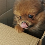 Chiakiの旅行プロフィール