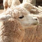 Reeの旅行プロフィール
