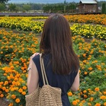 anzの旅行プロフィール
