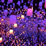 スズの旅行プロフィール