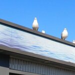 20002000yuyuの旅行プロフィール