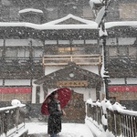 ゆっきーの旅行プロフィール