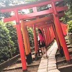Yuki Katoの旅行プロフィール