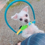 Akira Takahashiの旅行プロフィール