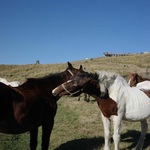 taeの旅行プロフィール