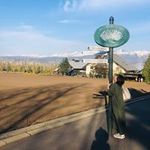 Akiko Yoshidaの旅行プロフィール