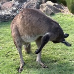 はっぴの旅行プロフィール