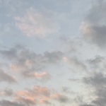 mの旅行プロフィール