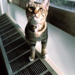 さおりの旅行プロフィール