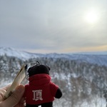 Ellyの旅行プロフィール
