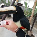 taminoの旅行プロフィール