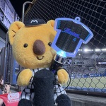 めいの旅行プロフィール