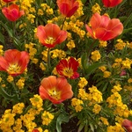 wakanaの旅行プロフィール