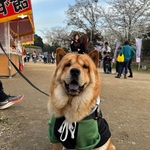 嶋田麻央の旅行プロフィール