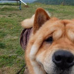 MAOの旅行プロフィール