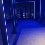 ゆゆの旅行プロフィール