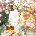 rieの旅行プロフィール