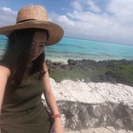 nの旅行プロフィール