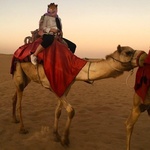 aayaの旅行プロフィール