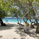 Michipuの旅行プロフィール