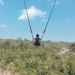 minamic5の旅行プロフィール