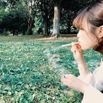 Sayaka Yoshidaの旅行プロフィール