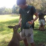 Keita Kawaiの旅行プロフィール