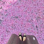 mkの旅行プロフィール