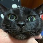 Masako Mineの旅行プロフィール