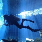 小林 潤史の旅行プロフィール