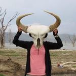 まさきちの旅行プロフィール