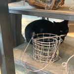 myks121427の旅行プロフィール