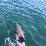 豊田麻子の旅行プロフィール