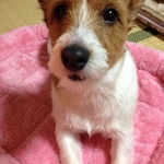 ゴンマリーの旅行プロフィール