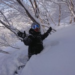yoshiの旅行プロフィール