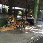 金森 仁美の旅行プロフィール