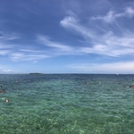 Sayuの旅行プロフィール