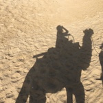 NGTMの旅行プロフィール