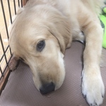 エリの旅行プロフィール