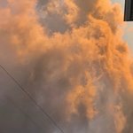 れおの旅行プロフィール