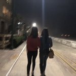 mfの旅行プロフィール