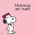 石原 麻衣の旅行プロフィール