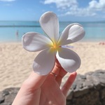 Hiromiの旅行プロフィール