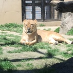 yayon244の旅行プロフィール
