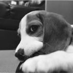 清河 ひかるの旅行プロフィール