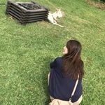 Saki Hayashiの旅行プロフィール